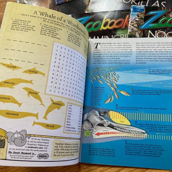 Bundle of 19 Zoobooks Magazines for Kids - Picture 3 of 16